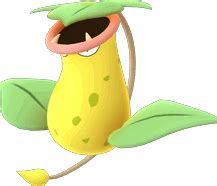 victreebel pokémon evolution|Pokemon Let's Go .